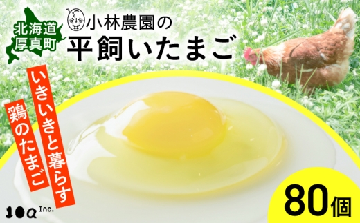 【常温配送】小林農園の平飼いたまご・無投薬 80個｜ 卵 鶏卵 玉子 生卵 有精卵 平飼い 北海道 定期便 [AXAN121]