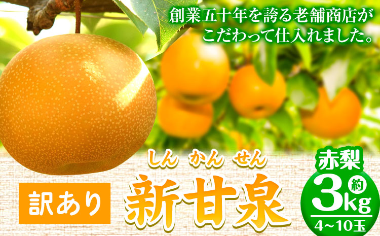 【先行予約 】訳あり なし 梨 新甘泉 約3kg (4~10玉) 高間商店《2025年8月下旬-10月上旬頃出荷》 鳥取県 八頭町 梨 なし ナシ 果物 フルーツ ご家庭用 訳あり 先行予約 送料無料