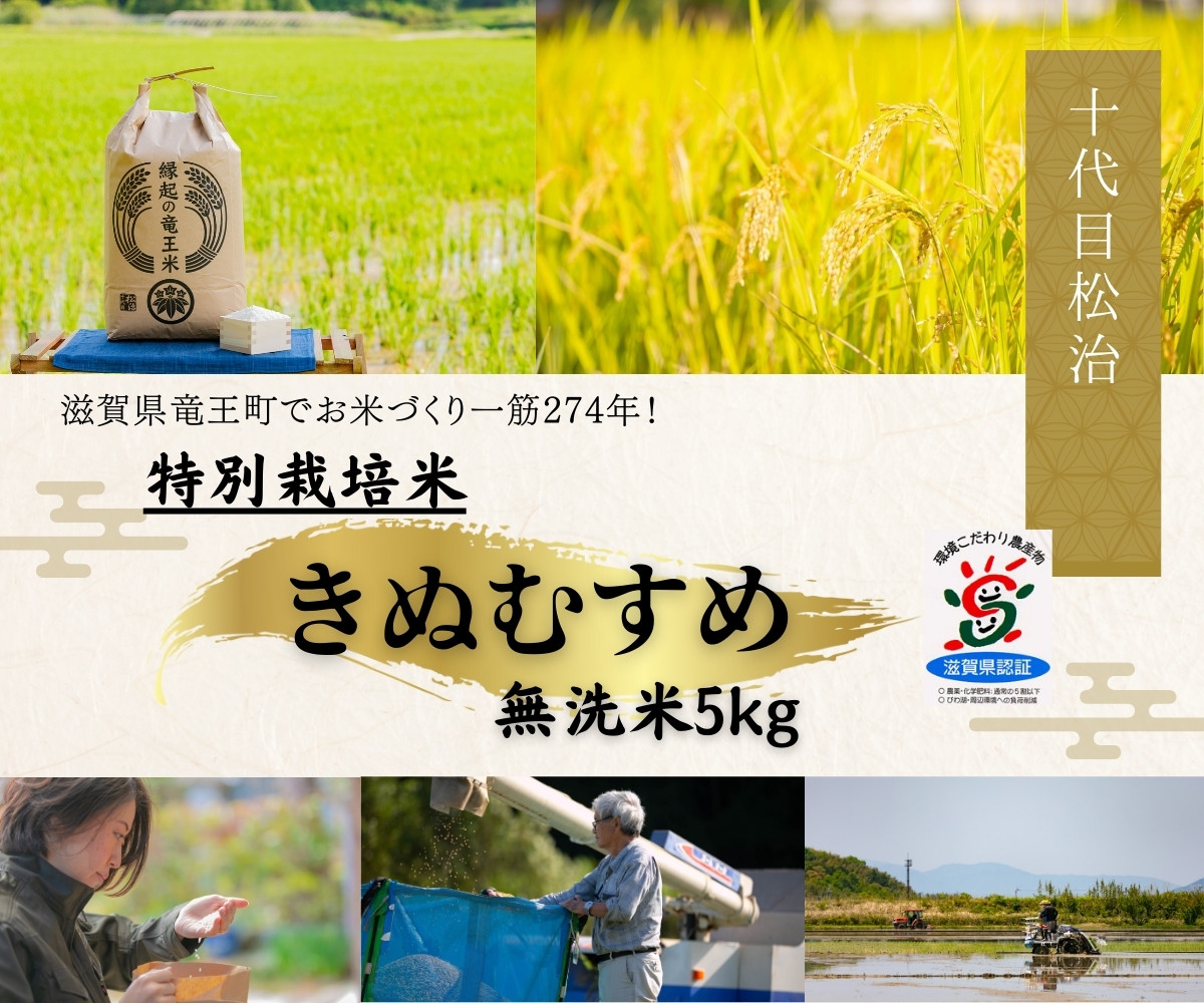 
            新米 きぬむすめ 無洗米 5kg 縁起の竜王米 ( 令和7年産 新米 無洗米 5kg おこめ ごはん 米 特別栽培米 ブランド米 ライス こだわり米 ギフト 国産 縁起の竜王米 滋賀県竜王町 )
          