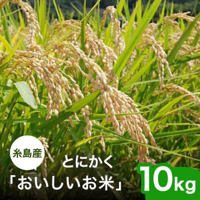 ふるさと納税 糸島市 【先行受付】とにかくおいしいお米 夢つくし 10kg 糸島市 シーブ [AHC023]