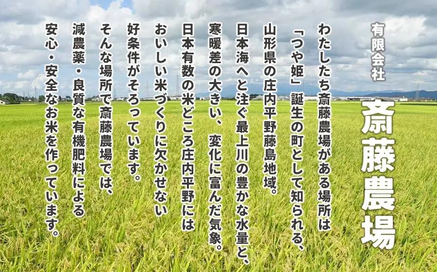 斎藤農場のつや姫パックごはん　180g×36食　無菌包装米飯　K-761