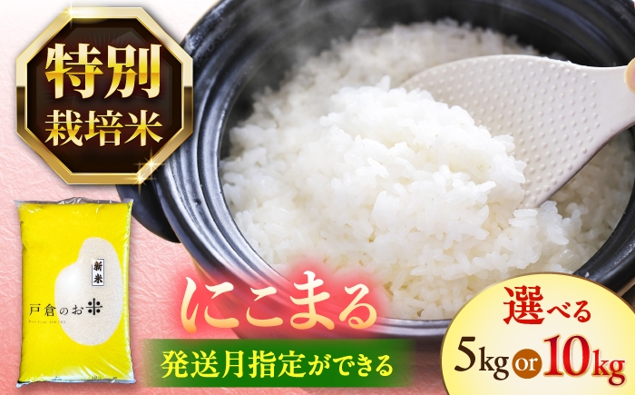 
                  米＼選べる内容量・発送月／ にこまる 白米 5kg / 10kg お米 ご飯 精米 米 お米 5kg 5キロ 10kg 10キロ 白米 精米 コメ ご飯 ごはん 愛知県産 国産 県産米 国産米 産地直送 令和7年 特別栽培米 愛西市 / 株式会社戸倉トラクター [AECS055-056]
                