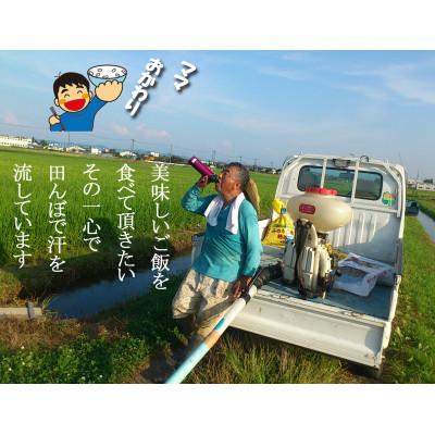 ふるさと納税 燕市 【8年産新米先行予約 】おかずのいらないコシヒカリ「つばめ返し」玄米 20kg |  | 02