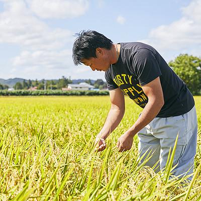 ふるさと納税 川西町 令和7年産　山形県産　つや姫・雪若丸　計10kg |  | 01