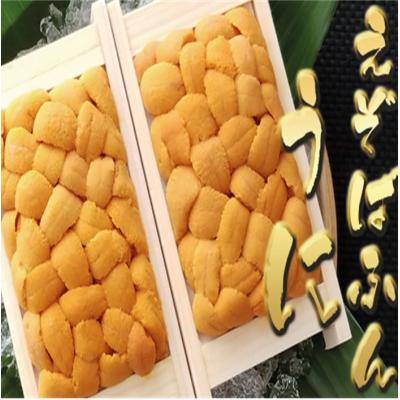 ふるさと納税 根室市 エゾバフンウニ70〜80g×2折 C-53025
