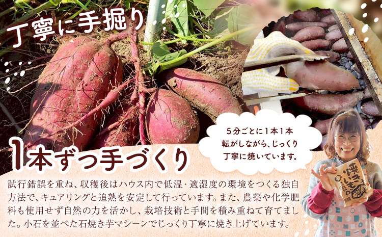 冷凍焼きいも 約1キロ 真空パック 《7-14日以内に出荷予定(土日祝除く)》詰め合わせ 品種ランダム 2品種 シルクスイート 安納芋 ベニアズマ 紅はるか ハロウィンスイート 北海道 日高町 のざわ