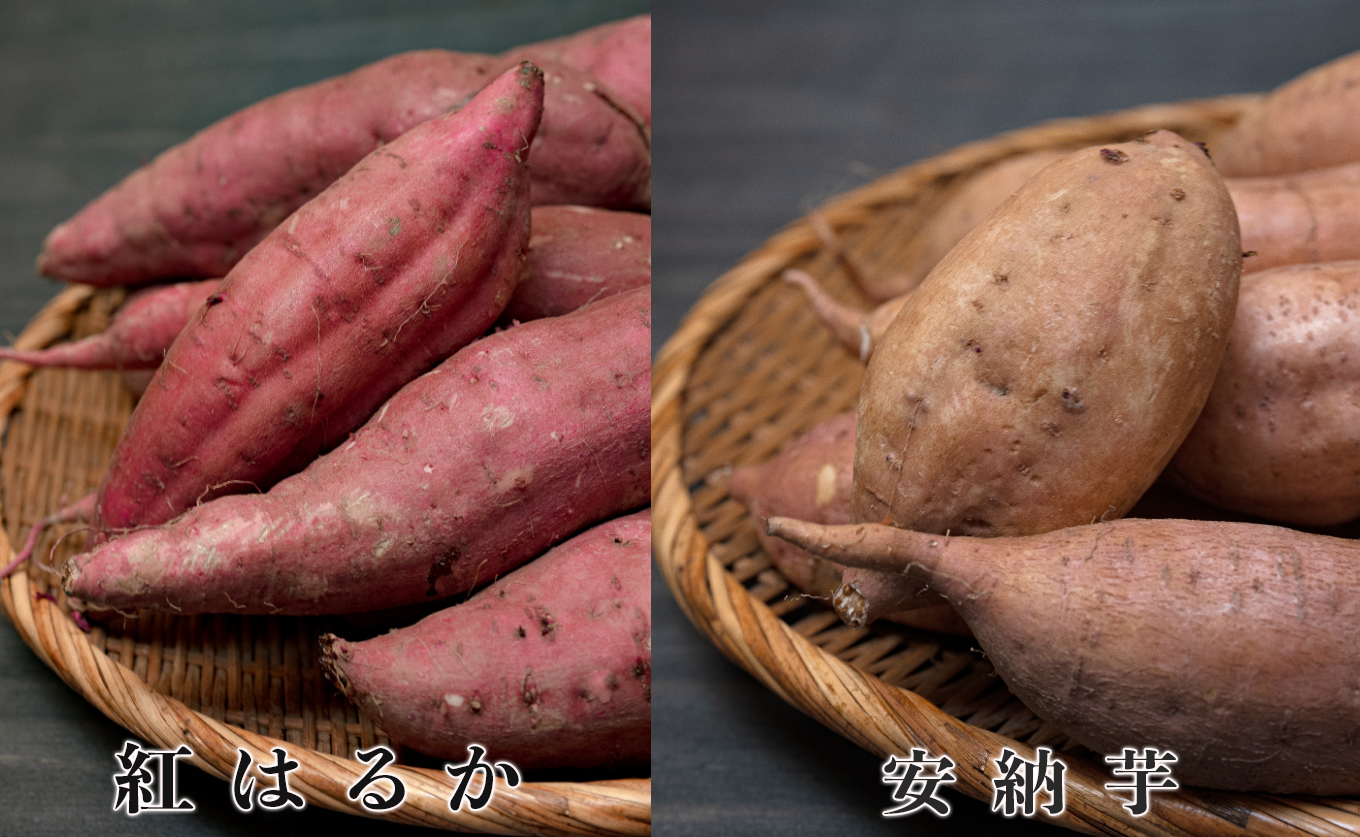 さつまいも 食べ比べ 約10kg 紅はるか 安納芋 各約5kg 熟成 焼き芋 焼芋 やきいも しっとり ねっとり 蜜芋 芋 おいも サツマイモ さつま芋 べにはるか 安納いも スイーツ おやつ 国産 