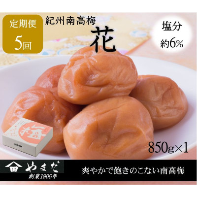 【2ヵ月毎定期便】紀州南高梅「花」塩分約6%(850g)全5回【4086741】
