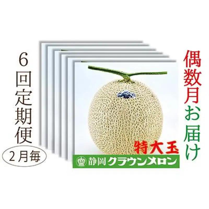 メロン 偶数月 6回 定期便 クラウン 白等級 特大玉 メロン