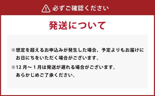 九州を飲む！九州果実シロップ デコポン