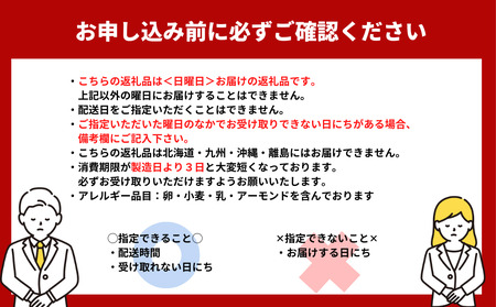 【日曜日着】でっかいシュークリーム 2個入 