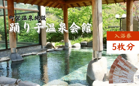入浴券 踊り子温泉会館 5枚 温泉 露天風呂 チケット 入浴券