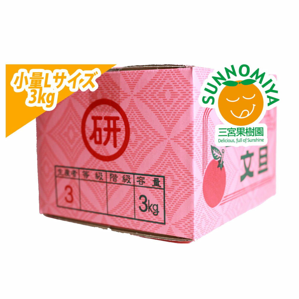 【ふるさと納税】【先行予約】三宮果樹園の土佐文旦 ご家庭用Lサイズ 3kg ぶんたん ブンタン 3キロ フルーツ 柑橘 みかん 果物 くだもの 柑橘類 デザート ご自宅用 ご家庭用 自分用 お取り寄せ おいしい 国産 常温 配送 故郷納税 ふるさとのうぜい 返礼品 高知県 土佐市