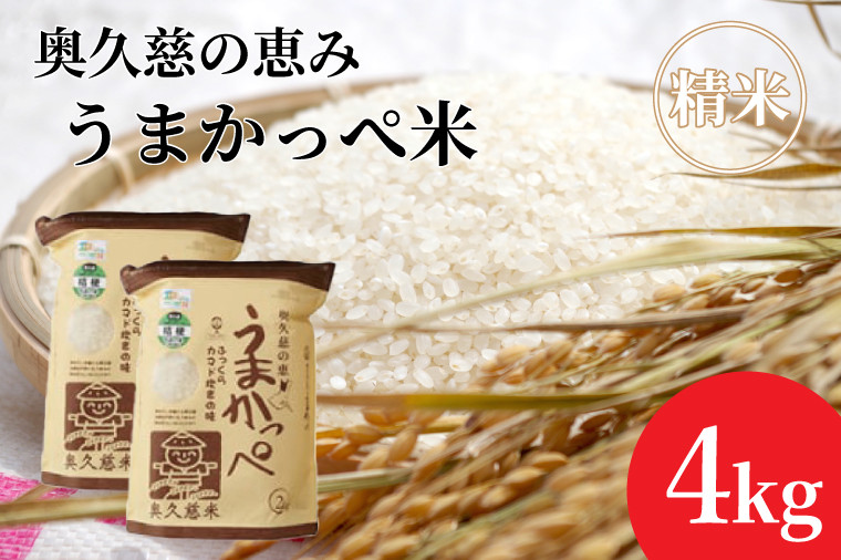 
            令和7年産【新米】奥久慈の恵みうまかっぺ米（コシヒカリ）2kg×2袋 計4㎏｜茨城県 大子町 お米 白米 精米 ブランド米 銘柄米 食味値 ふっくら もちもち （AH001-2）
          