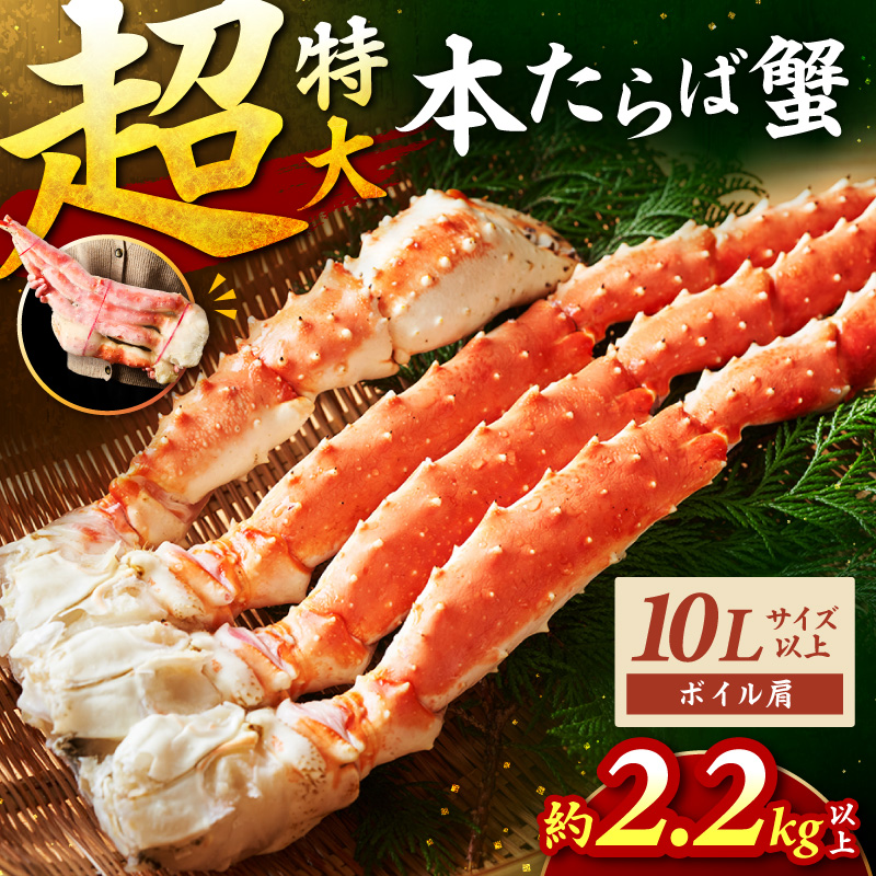 【年内配送】【1肩約2.5kgの超極太10L以上メガサイズ】本たらば蟹 ボイル肩 約2.5kg 折れなし選別【087B-049】