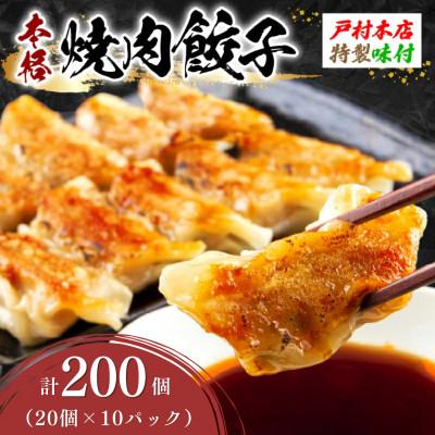 ふるさと納税 日南市 焼くだけ!!簡単調理!! 焼肉餃子　計200個(20個入り×10パック)