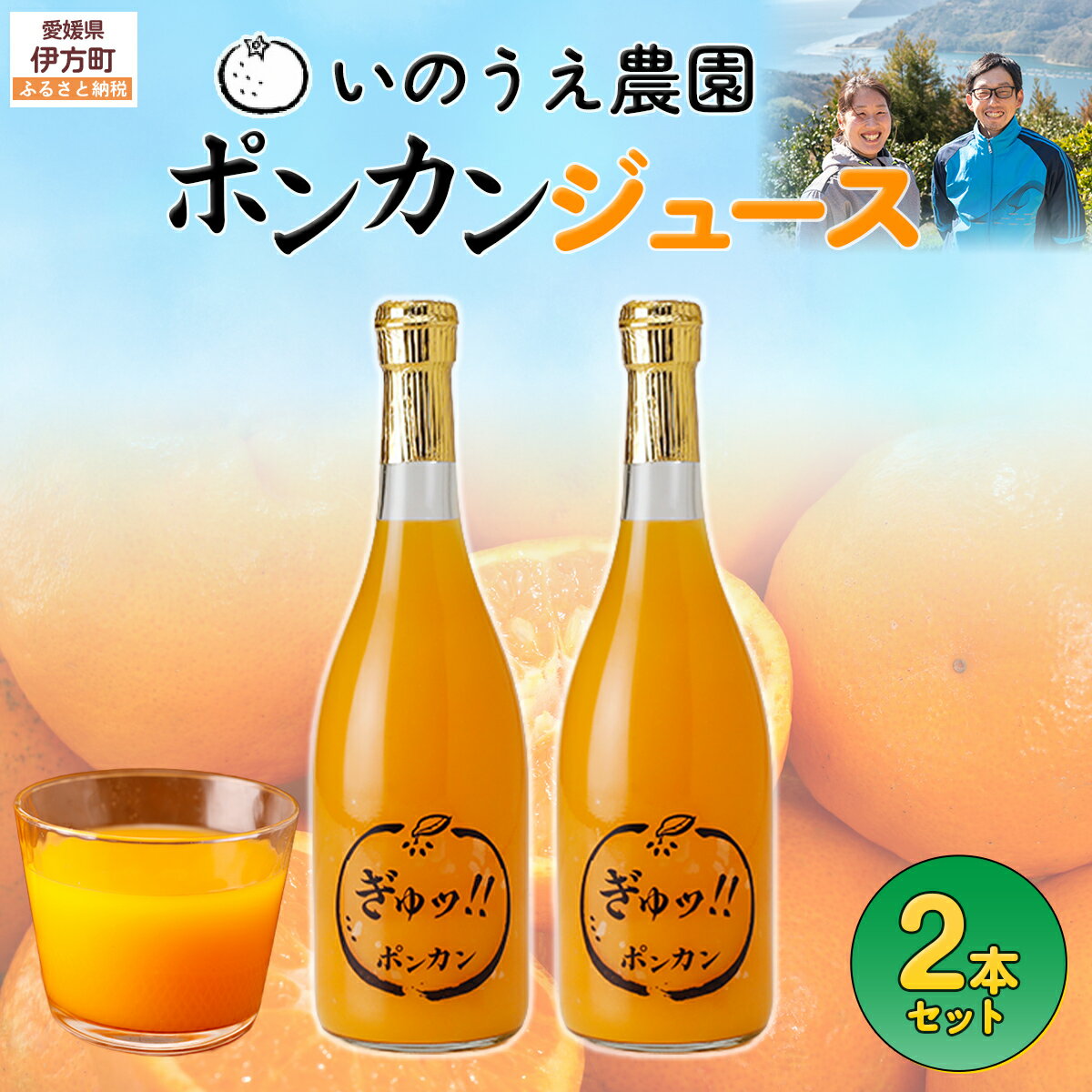 【ふるさと納税】いのうえ農園 ポンカンジュース2本セット ※離島への配送不可 【ふるさと納税 人気 おすすめ ランキング 柑橘 みかん ミカン 蜜柑 ジュース ポンカン ポンカンジュース フルーツ 果物 産地直送 いのうえ農園 愛媛県産 愛媛県 伊方町 送料無料】 IKTAI013
