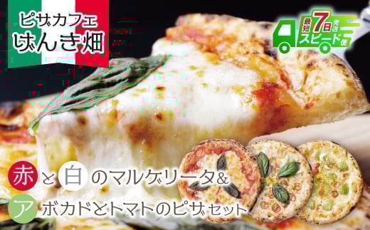 W24-20 【7営業日以内発送】 本格窯焼き！ げんき畑 ピザ 3枚セット＜マルゲリータ(赤・白)＆アボカドとトマトのピザ＞ ピザ 冷凍ピザ ピザ 冷凍 窯焼き ピザ 人気 ピザ おすすめ ピザ 食べ比べ ピザ ピザセット マルゲリータ ピザ アボカド トマト ピザ  スピード発送