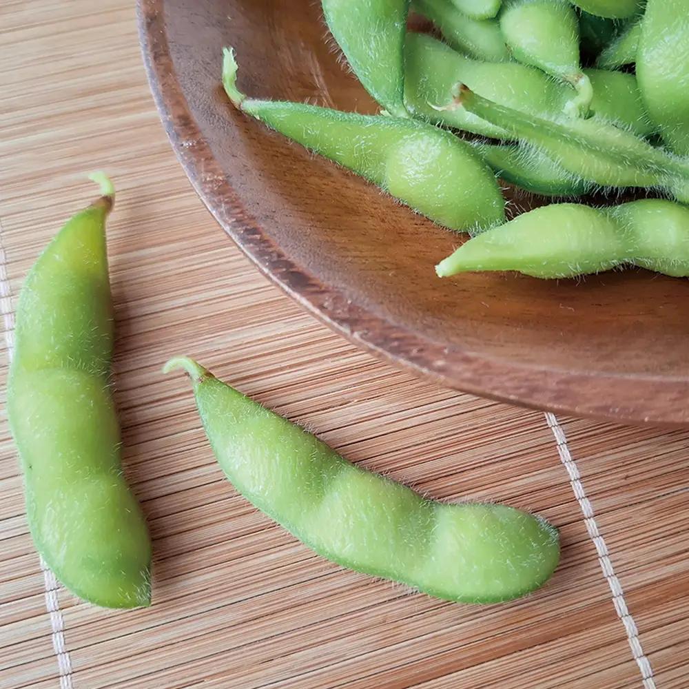 枝豆の聖地・千葉県野田市産！枝付き枝豆 約2kg ／ 枝豆 枝付き 枝豆2kg 産地直送 大莢 甘み濃厚 食べ応え ぷっくり豆 おつまみ BBQ 家飲み 新鮮 野菜 旬の味覚 千葉県 No.404