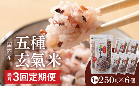【隔月3回　定期便】国内産 五種玄氣米 250g×6個 1500g×3回_国内産 五種玄氣米 250g×6個 お届け回数 3回 玄米 ブレンド 雑穀米 もち赤米 うるち玄米 もち玄米 もち黒米 もち緑米 プチプチ もちもち 混ぜて炊くだけ 冷めても美味しい 主食 おにぎり 弁当 食卓 華やか 福岡県 久留米市 送料無料_Tk025