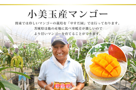 【数量期間・季節限定】 『グッド！モーニング』で紹介 おみたんマンゴー約450g 数量限定 期間限定 先行予約 完熟 マンゴー 国産フルーツ 果物 くだもの 【7月20日～8月末まで順次発送予定】 1