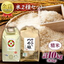 【ふるさと納税】 【令和6年産】米・食味分析鑑定コンクール金賞受賞生産者が作る つや姫・雪若丸 山形ブランド食べ比べセット【精米】 | ふるさと納税 米 つや姫 高級 白米 山形 高畠町 2024 ふるさと 人気 送料無料 F21B-134