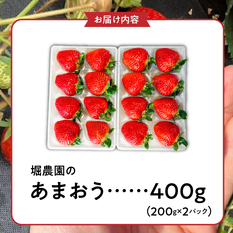 【先行予約】福岡県エコ農産物認定　堀農園のあまおう400g_エコ農産物認定 堀農園 あまおう 200g × 2パック 計 400g 完熟 食べ頃 いちご チルド便 大粒 甘み 程よい 酸味 バランス 