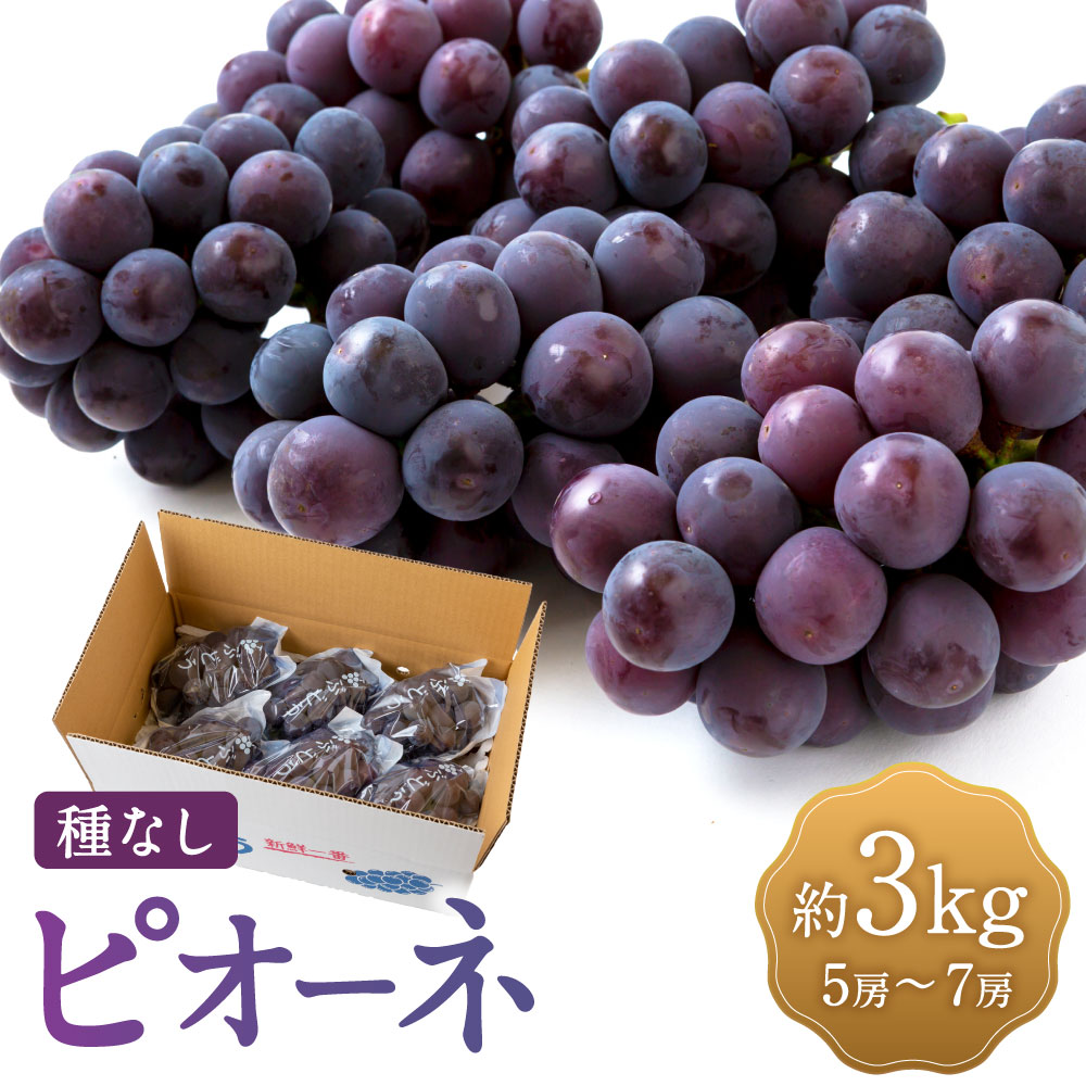 【ふるさと納税】【先行予約】宝玉農園 ピオーネ 5房から7房 (約3kg) 2025年8月下旬から9月上旬 出荷予定