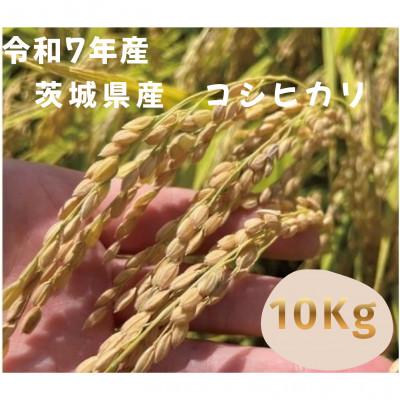 ふるさと納税 つくば市 【令和7年産】茨城県産コシヒカリ　玄米10kg