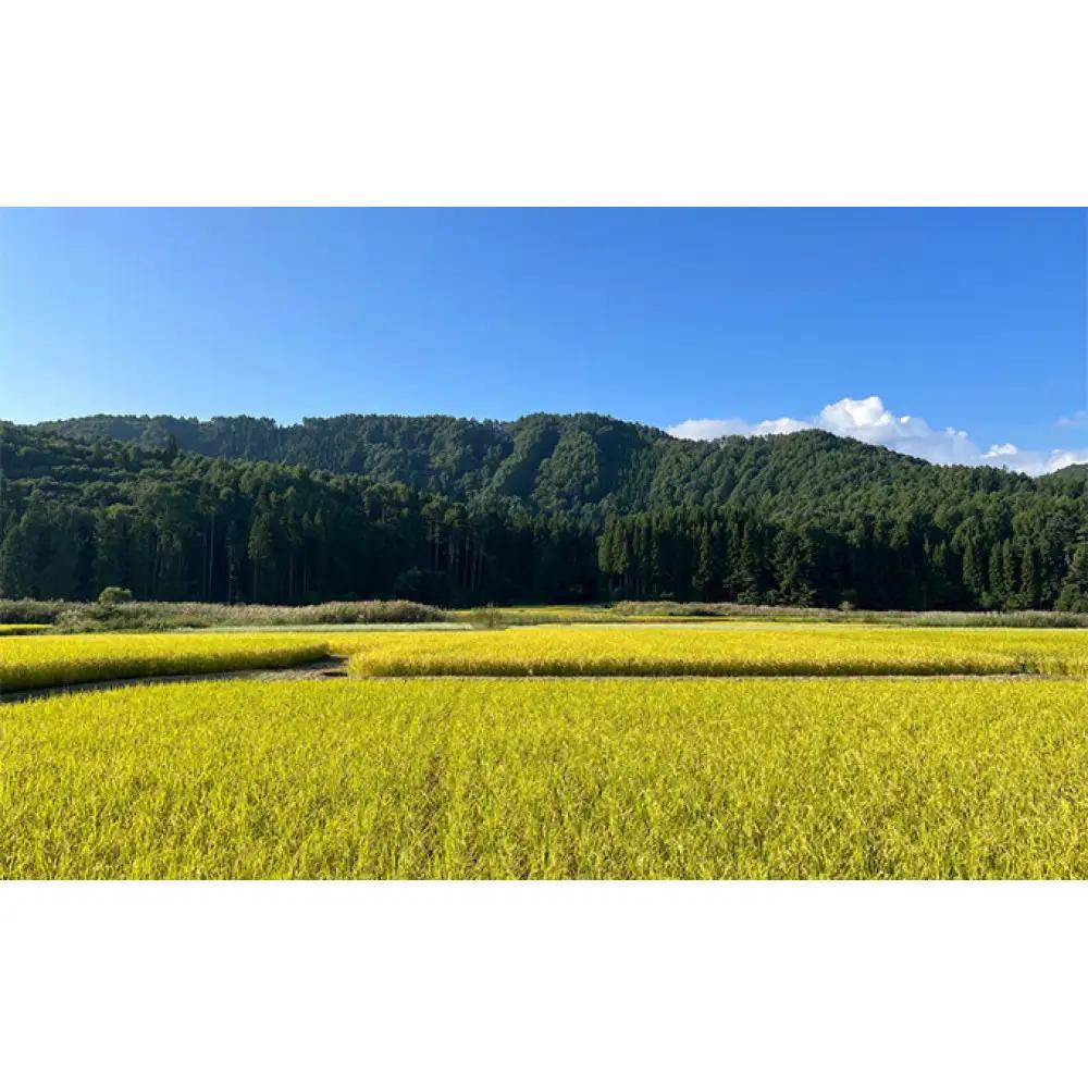 信州長野市芋井産 あきたこまち 5kg | 米 あきたこまち 信州産 精米