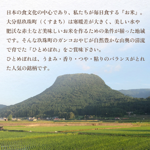【令和6年 玖珠産・ひとめぼれ 精米 5kg】3回お届け！ガンコおやじのこだわり米 定期便 ひとめぼれ 5kg 3回 精米 お米 頒布会