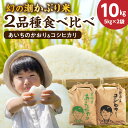 【ふるさと納税】高評価☆4.75 米 令和6年産 新米 幻のお米 幻の潮かぶり米 あいちのかおり コシヒカリ 2品種 食べ比べ 各 5kg × 2袋 計 10kg 自社精米 お米 山中ライス 甘み 弁当 おにぎり 食品 食べ物 常温 お取り寄せ 愛知県 碧南市 送料無料