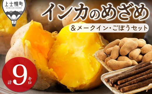 2026年産 先行予約 北海道産 越冬 じゃがいも インカのめざめ メークイン ごぼう セット 計9kg 北海道 上士幌町 西原農場 野菜 秋野菜 熟成 ジャガイモ インカ インカの目覚め 馬鈴薯 詰め合わせ 産地直送 ◆2027年02月配送 ［012-V84］