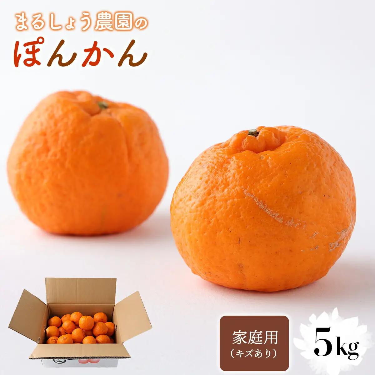 ＜先行予約＞家庭用（キズあり）ぽんかん 5・　MS1 [MS-01] 【まるしょう農園】