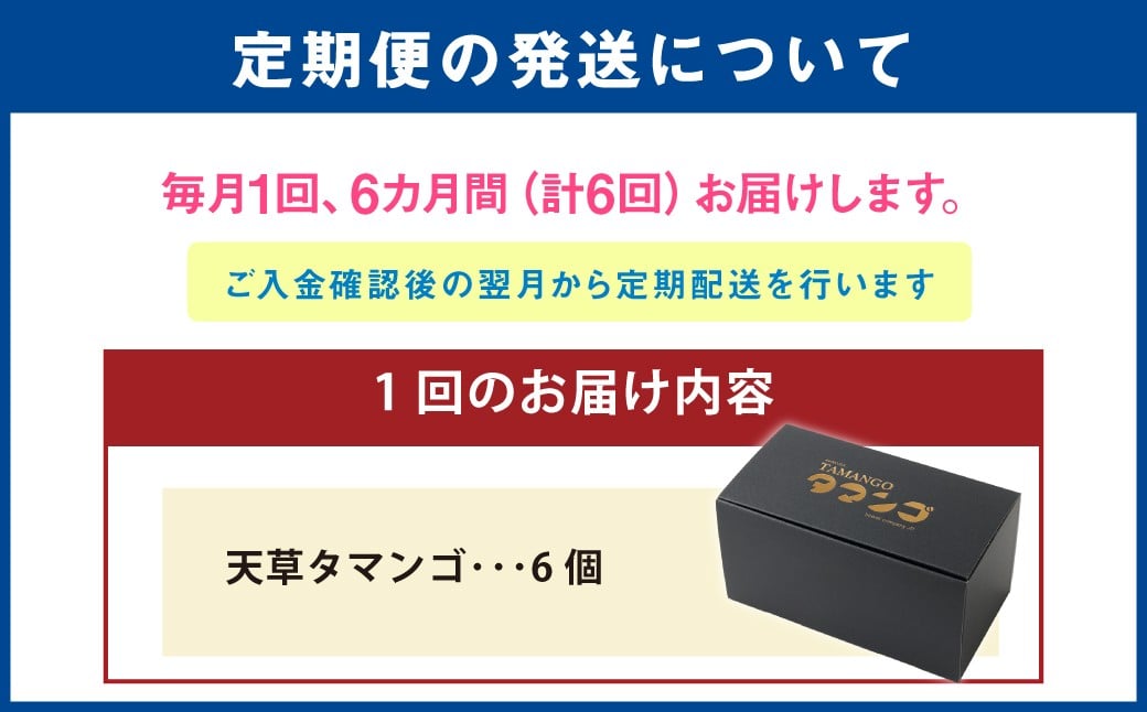 熊本県天草市で生まれたブランド卵「天草タマンゴ」6個入 ／ 化粧箱×6回 計36個 化粧箱入
