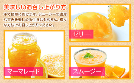 ＜先行予約＞初夏のみかん なつみ 約 3kg 株式会社 魚鶴商店 みかん 蜜柑