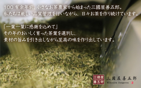 大容量 合計60袋 抹茶入 煎茶ティーバッグ (8g × 30p) × 2個 煎茶 日本茶 抹茶 緑茶 飲料 [A-12275]