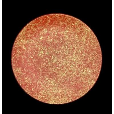 ふるさと納税 海南市 丸小皿　乱糸(マット仕上げ)　5枚セット |  | 03