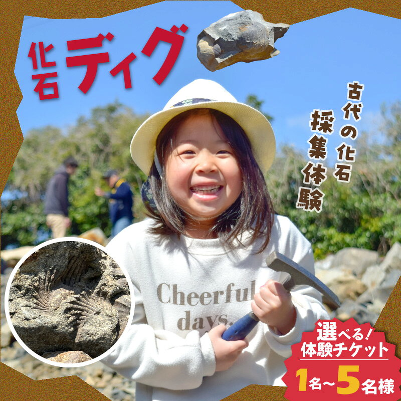 【ふるさと納税】化石ディグ 利用券 選べる 枚数 1枚 ～ 5枚 御所浦町 恐竜 恐竜の島 プテロトリゴニア ゴショライア 貝 アンモナイト 化石 持ち帰り可 発掘 体験 ガイド チケット 夏休み 自由研究 自然史 中生代 白亜紀 熊本県 天草市 送料無料