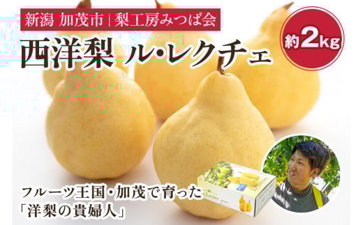 【2025年先行予約】新潟特産 幻の洋梨ル・レクチェ 【家庭用】2Kg（5～7玉）《11月下旬以降発送》果物 フルーツギフト 秋の味覚 加茂市 梨工房みつば会