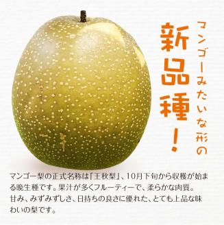 FKP9-652 【先行予約】マンゴー梨（王秋梨）約2.5kg なし ナシ 梨 デザート フルーツ 果物 くだもの 果実 食品