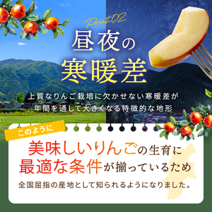 【2025年 先行予約】 サンふじ 計約5kg （18～20玉）| 果物 くだもの フルーツ 林檎 りんご リンゴ サンふじ 長野県 塩尻市