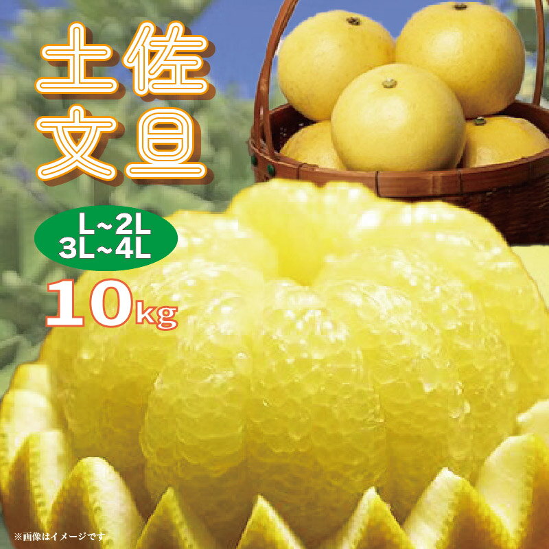 【ふるさと納税】 土佐 文旦 家庭用 10kg L ~ 2L サイズ 3L ~ 4L サイズ 土佐文旦 柑橘 みかん 果物 フルーツ ぶんたん 大玉 人気 ご家庭用 旬 分担 かんきつ 柑橘類 産地直送 期間限定 季節限定 数量限定 ふるさと納税文旦 ふるさと納税柑橘 高知県 特産 高知 黒潮町