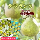 【ふるさと納税】選べる【保護包装品・ご自宅用】山形産 秀品 洋梨「ラ・フランス」5kg（14玉〜） サイズおまかせ 【2025年10月末頃〜12月上旬頃】／ お取り寄せ ご当地 特産 産地直送 果物 フルーツ 新鮮 季節 秋 東北 山形県 ラフランス 5キロ 2025年産 令和7年産