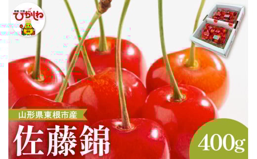 2025年産 さくらんぼ「佐藤錦」秀品 400gバラ詰め Lサイズ以上 山形県 東根市 hi037-004-1