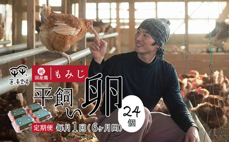 【定期便6ヶ月】平飼いたまご 24個 【 卵定期便 平飼い卵  平飼いたまご 平飼い卵  平飼いたまご 平飼い卵  平飼いたまご 】
