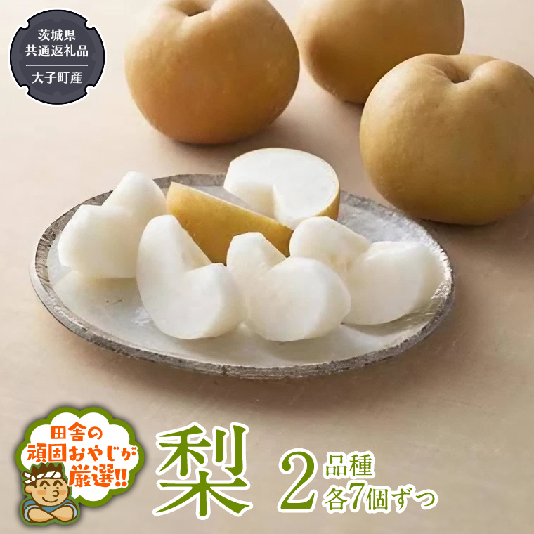 梨 2品種 各7個ずつ【2025年8月より発送開始】（茨城県共通