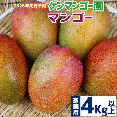 【ふるさと納税】【2026年発送】【ケンマンゴー園】　家庭用マンゴー　4kg以上 完熟 マンゴー アップル 南国 沖縄 フルーツ くだもの 果物 果実 先行予約 産地直送 贅沢 濃厚 スイーツ デザート 旬の果物 ご家庭用 ご自宅用 国産 冷蔵