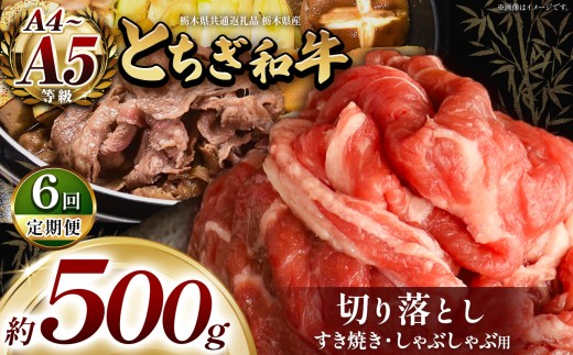 訳あり【定期便6回】とちぎ和牛 すき焼き・しゃぶしゃぶ用 切り落とし 500g | 栃木県共通返礼品 ご褒美 プレゼント 贈答 おいしい 和牛 肉 おにく 特別 人気 お取り寄せ 栃木県 真岡市