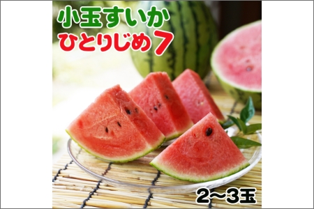 【0140-3】和歌山産小玉すいか ひとりじめ7(2～3玉)